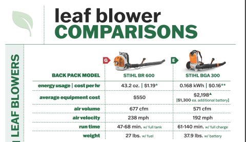 Voters will decide gas leaf blower ban next year | A Policy & Issues