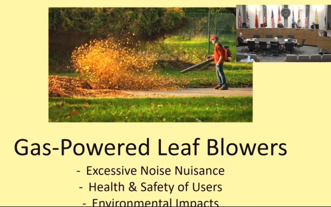 Gov. DeSantis vetoes leaf blower study in win that comes too late for Winter Park